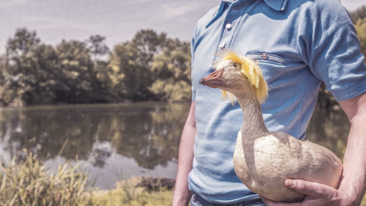 Darmowe grafiki dla wymagających -5 serwisów